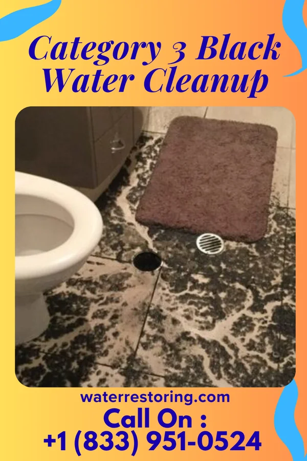 Category 3 Black Water Cleanup in St. Marys, WV