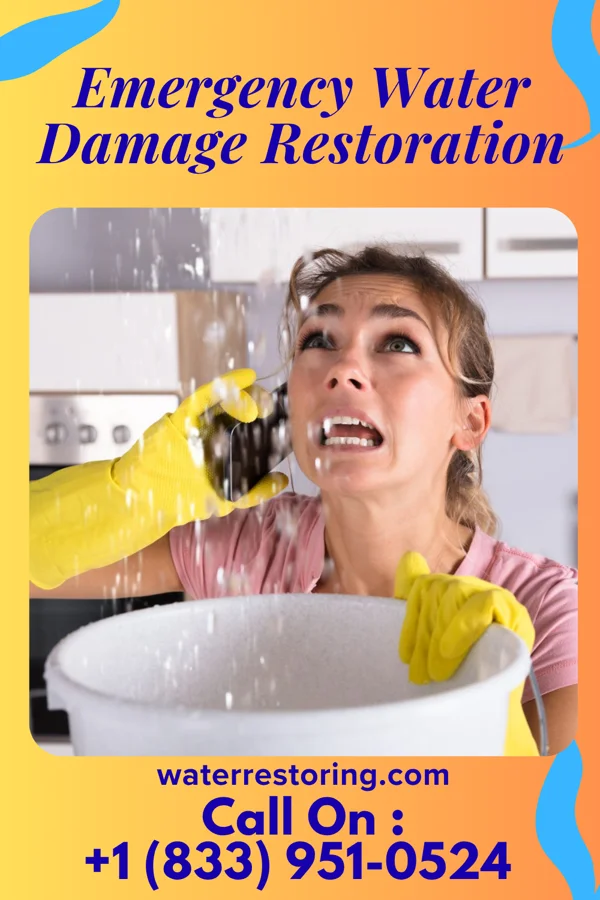 Emergency Water Damage Restoration in St. Marys, WV