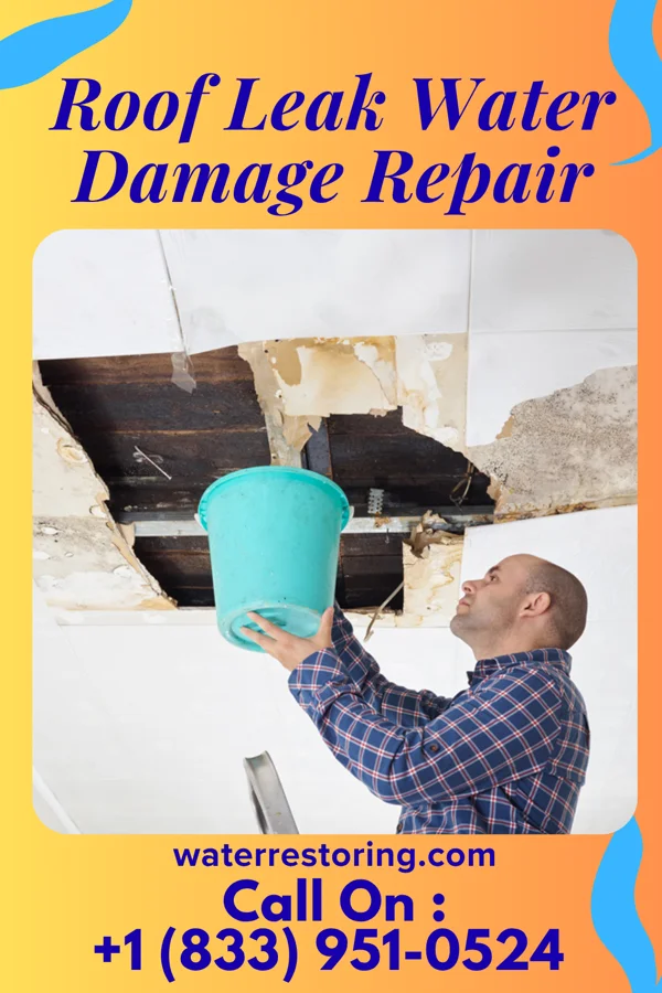 Roof Leak Water Damage Repair in St. Marys, WV