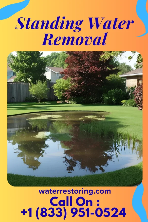 Standing Water Removal in St. Marys, WV